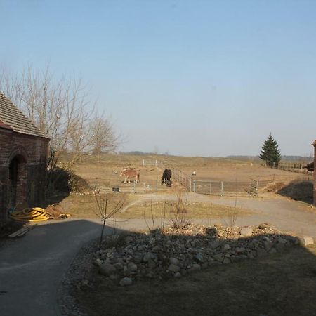 Ferienwohnung Pusteblume Steinhofel Esterno foto